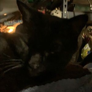 Meet your Posher, Risa